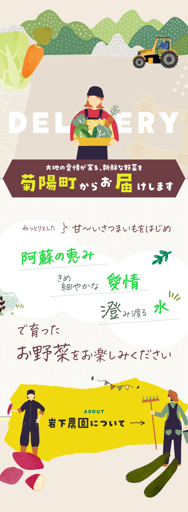 sp_wrapper_bg_top
